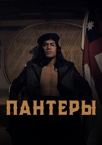 Пантеры